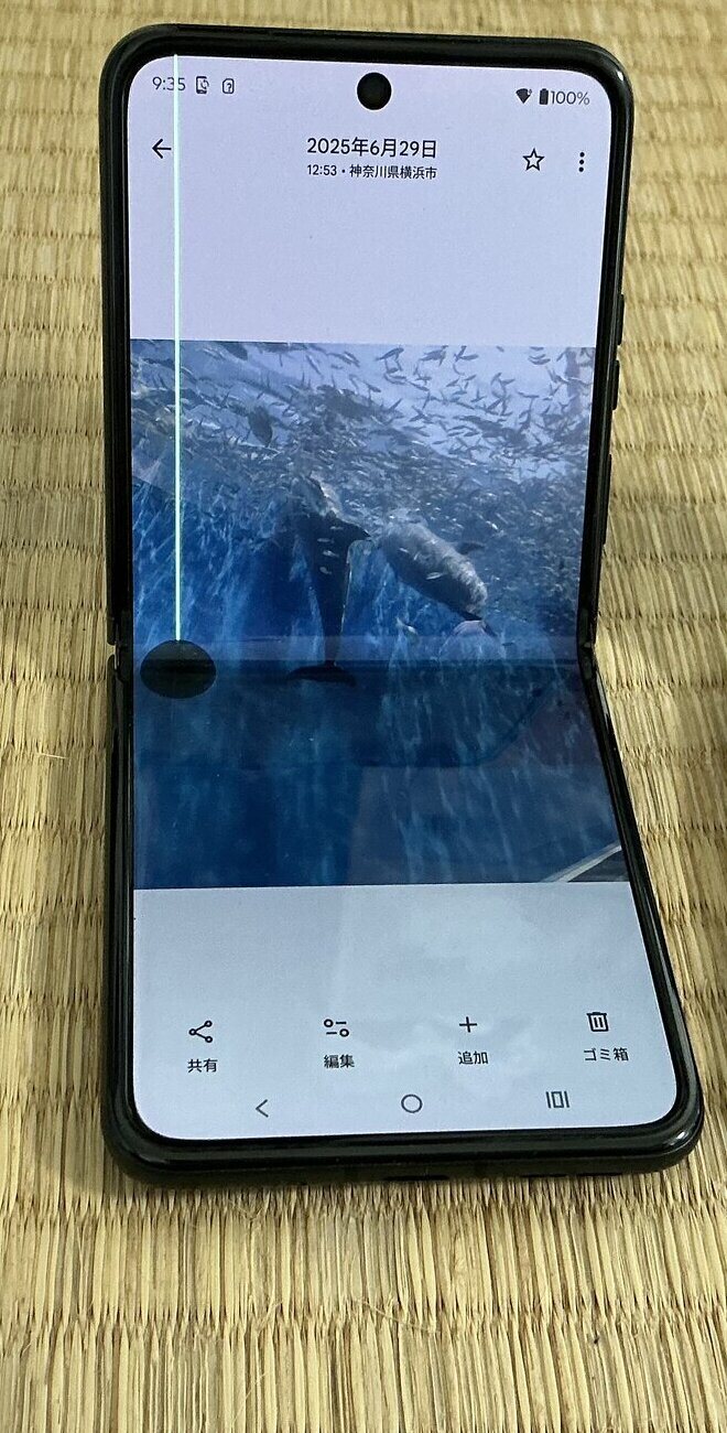 折り目から画面全体に緑の線が走った razr 40(2026年7月16日撮影)